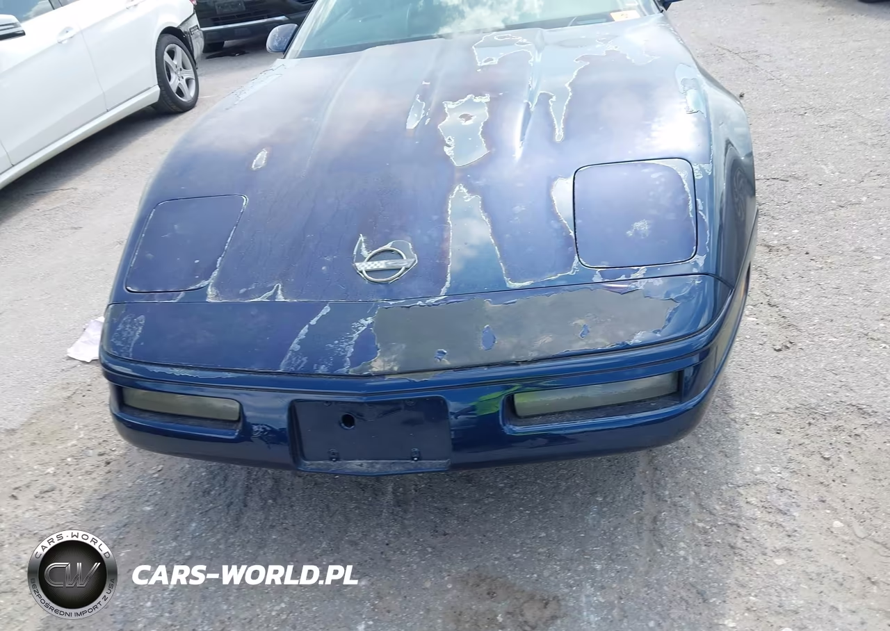 1992 Chevrolet Corvette VIN:1G1YY23P2N5106274 - 6