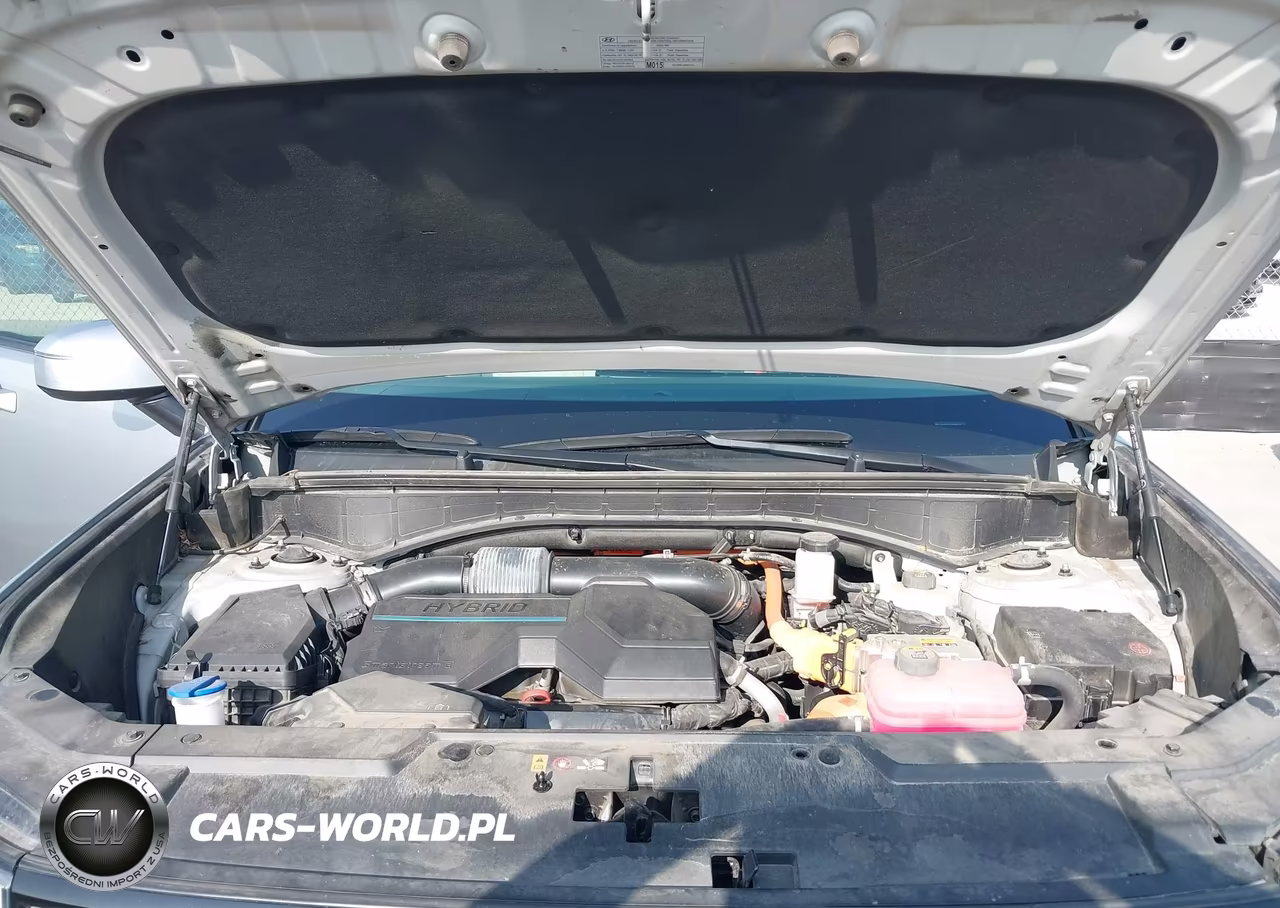 2024 Hyundai Santa Fe Hybrid Sel VIN:5NMP24G14RH006184 - 10