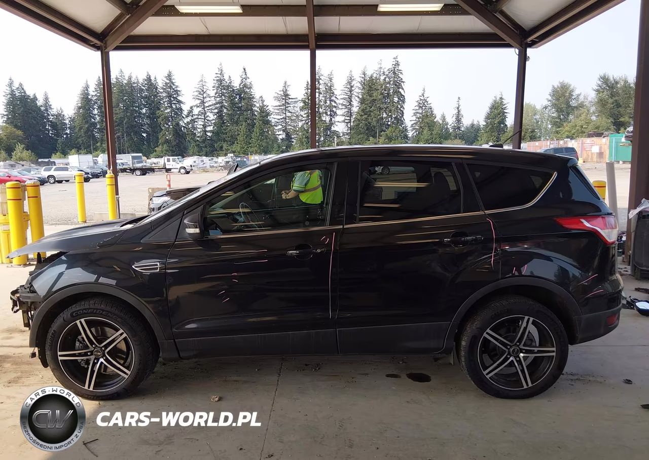 2013 Ford Escape Sel VIN:1FMCU9H96DUA30879 - 15