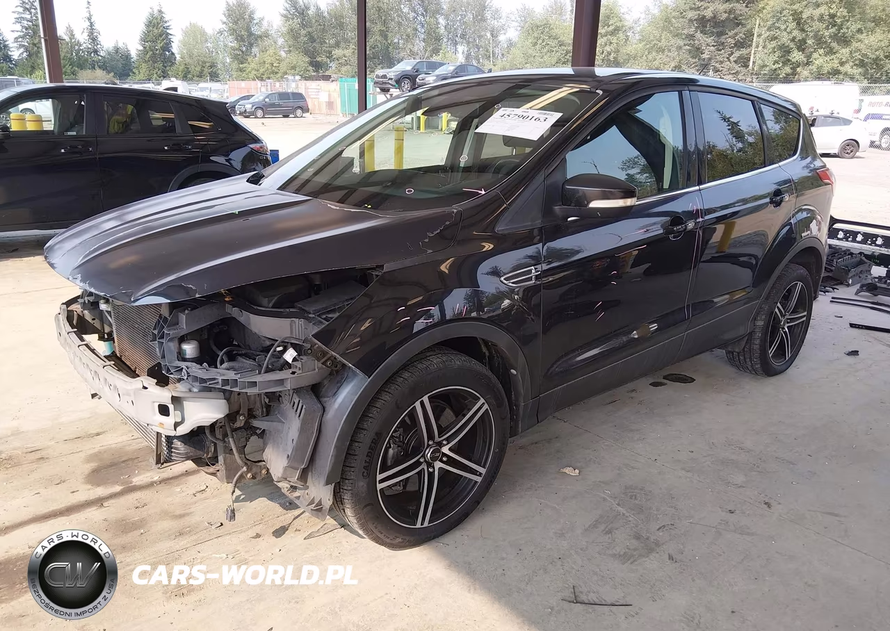 2013 Ford Escape Sel VIN:1FMCU9H96DUA30879 - 2