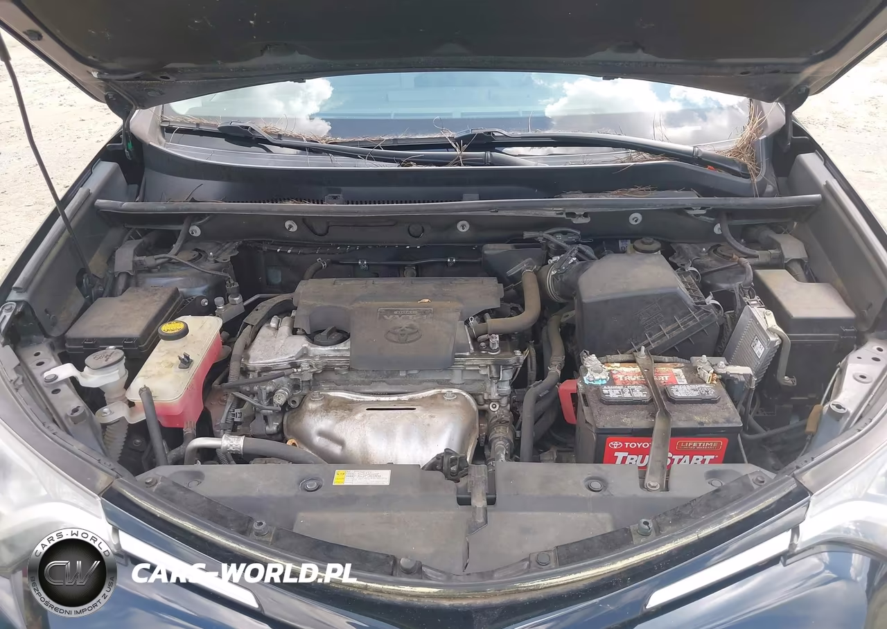 2017 Toyota Rav4 Xle VIN:2T3WFREV2HW378796 - 10