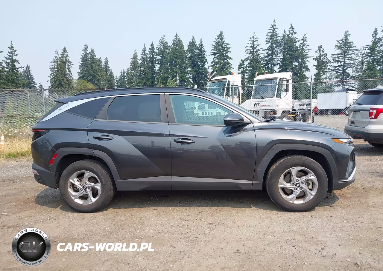 2022 Hyundai Tucson Sel VIN:5NMJBCAE2NH047726 - 13