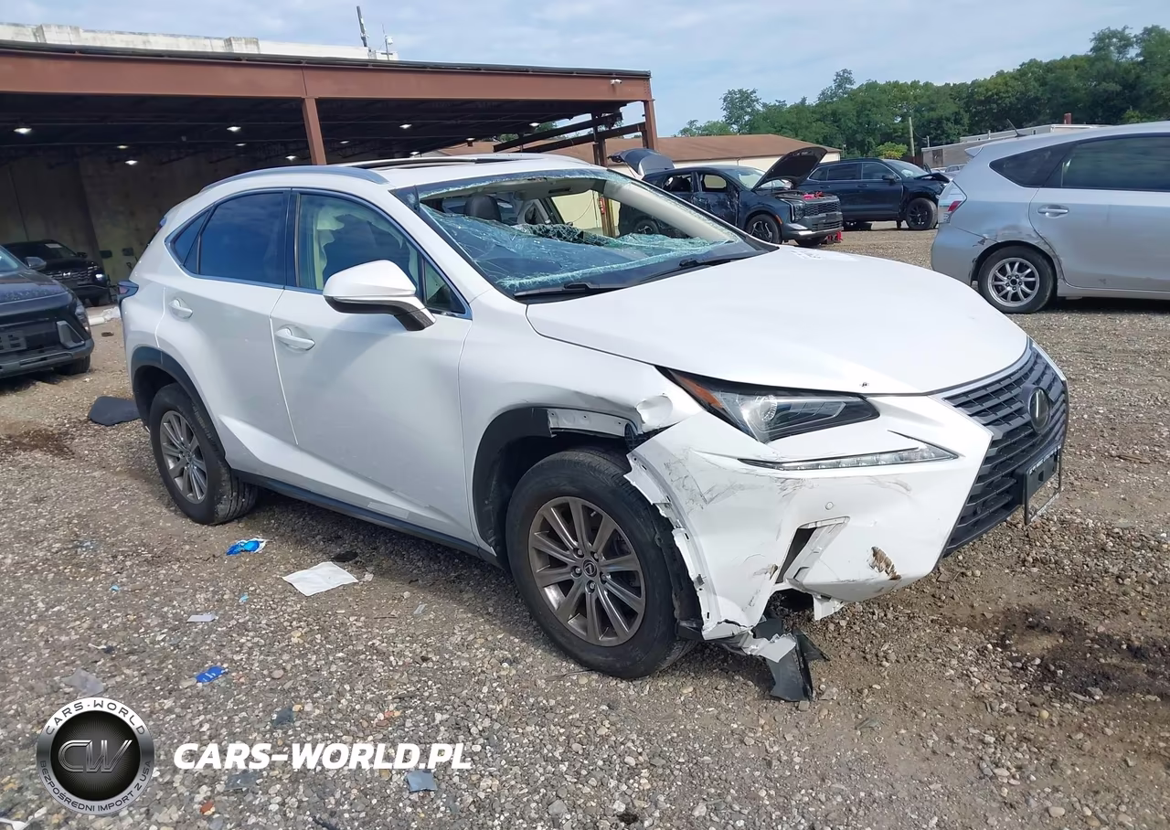 2020 Lexus Nx 300 VIN:JTJDARDZ8L5004183 - 1
