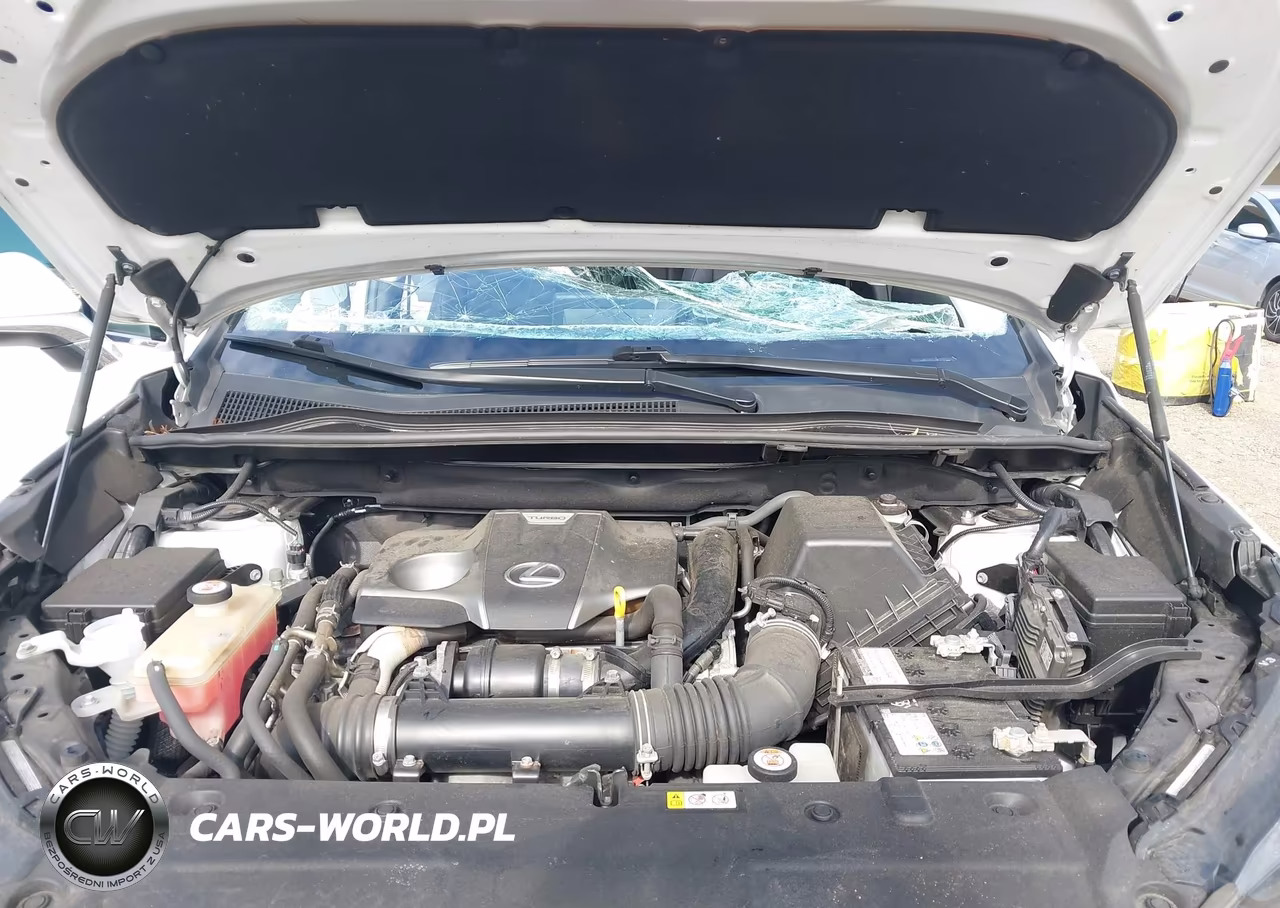 2020 Lexus Nx 300 VIN:JTJDARDZ8L5004183 - 10