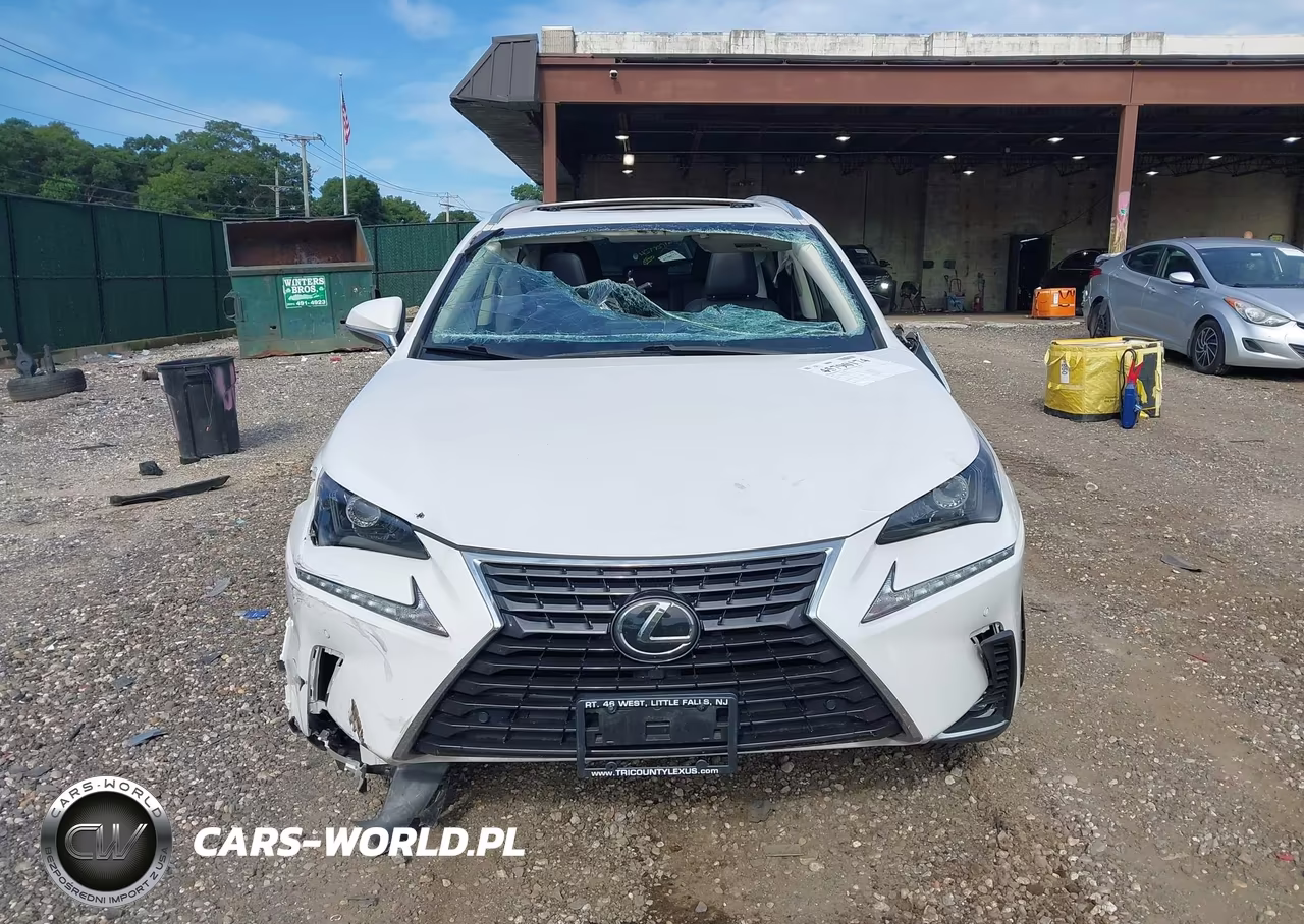 2020 Lexus Nx 300 VIN:JTJDARDZ8L5004183 - 12