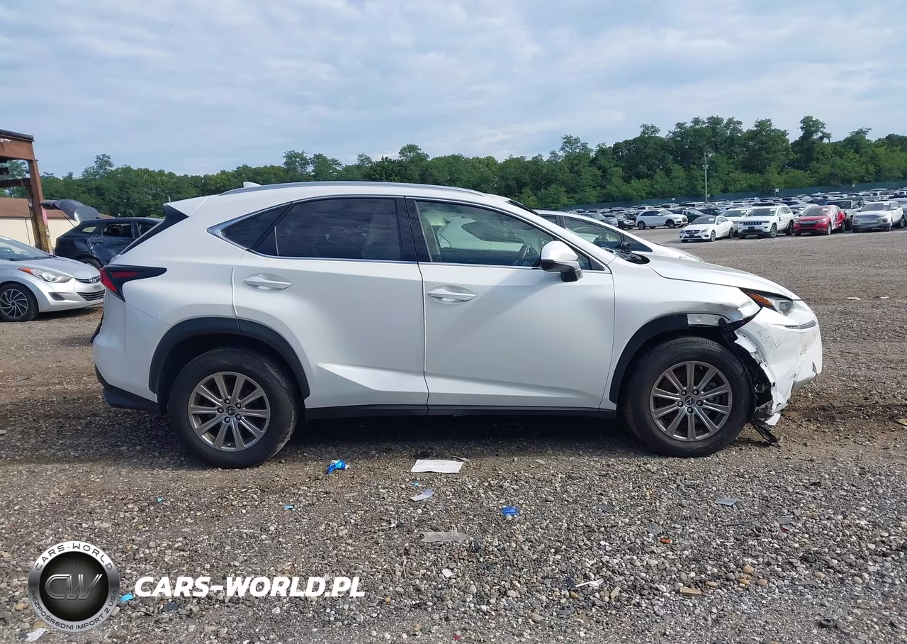 2020 Lexus Nx 300 VIN:JTJDARDZ8L5004183 - 13
