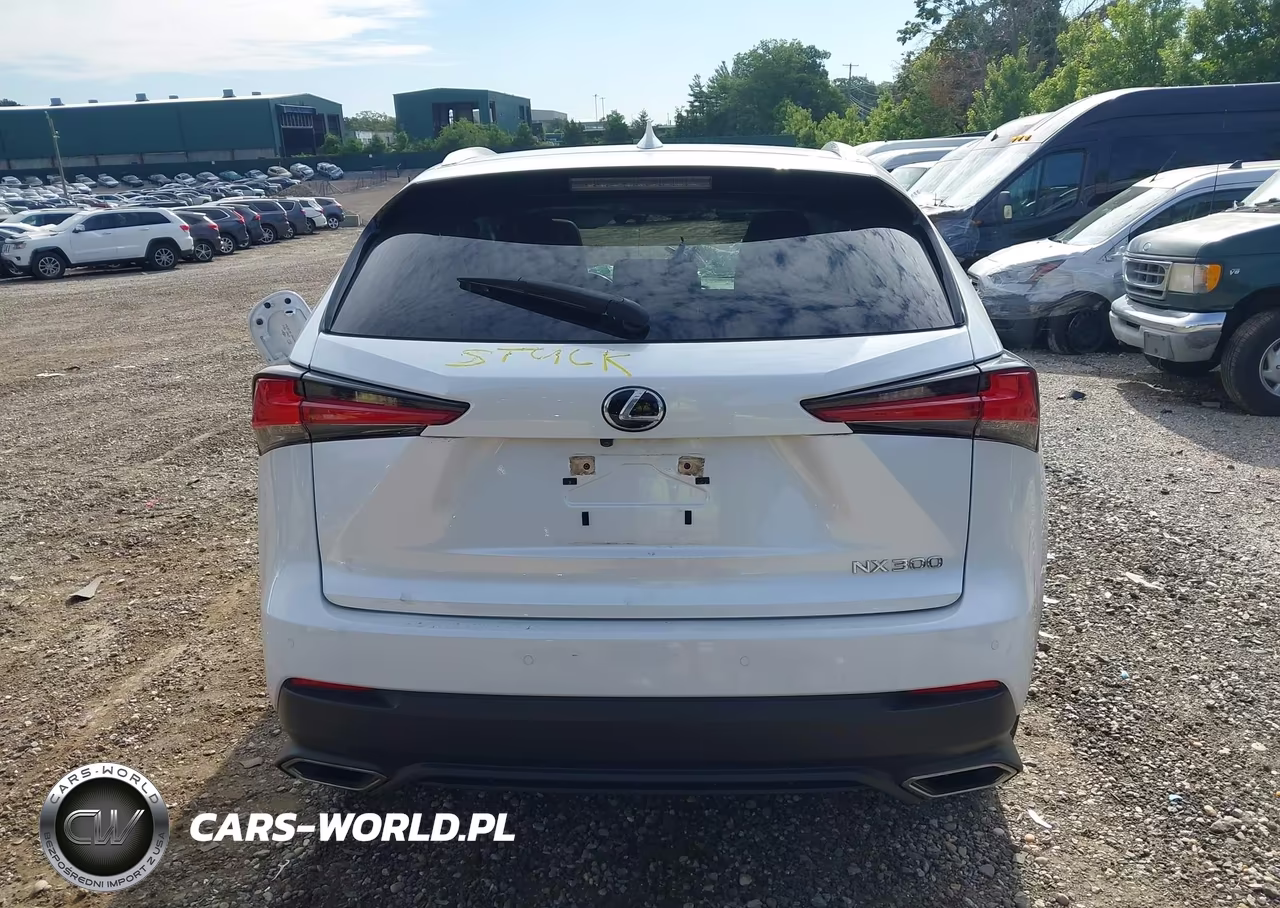 2020 Lexus Nx 300 VIN:JTJDARDZ8L5004183 - 16
