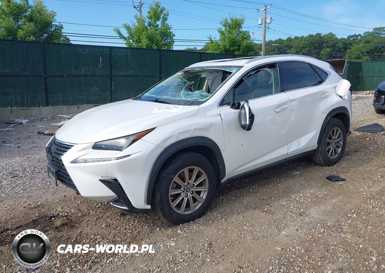 2020 Lexus Nx 300 VIN:JTJDARDZ8L5004183 - 2
