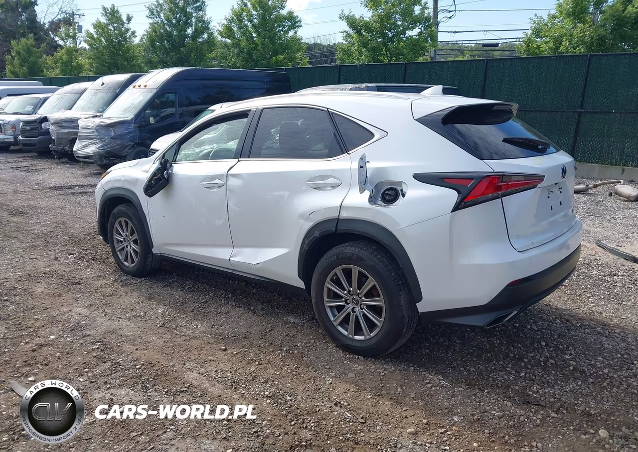 2020 Lexus Nx 300 VIN:JTJDARDZ8L5004183 - 3