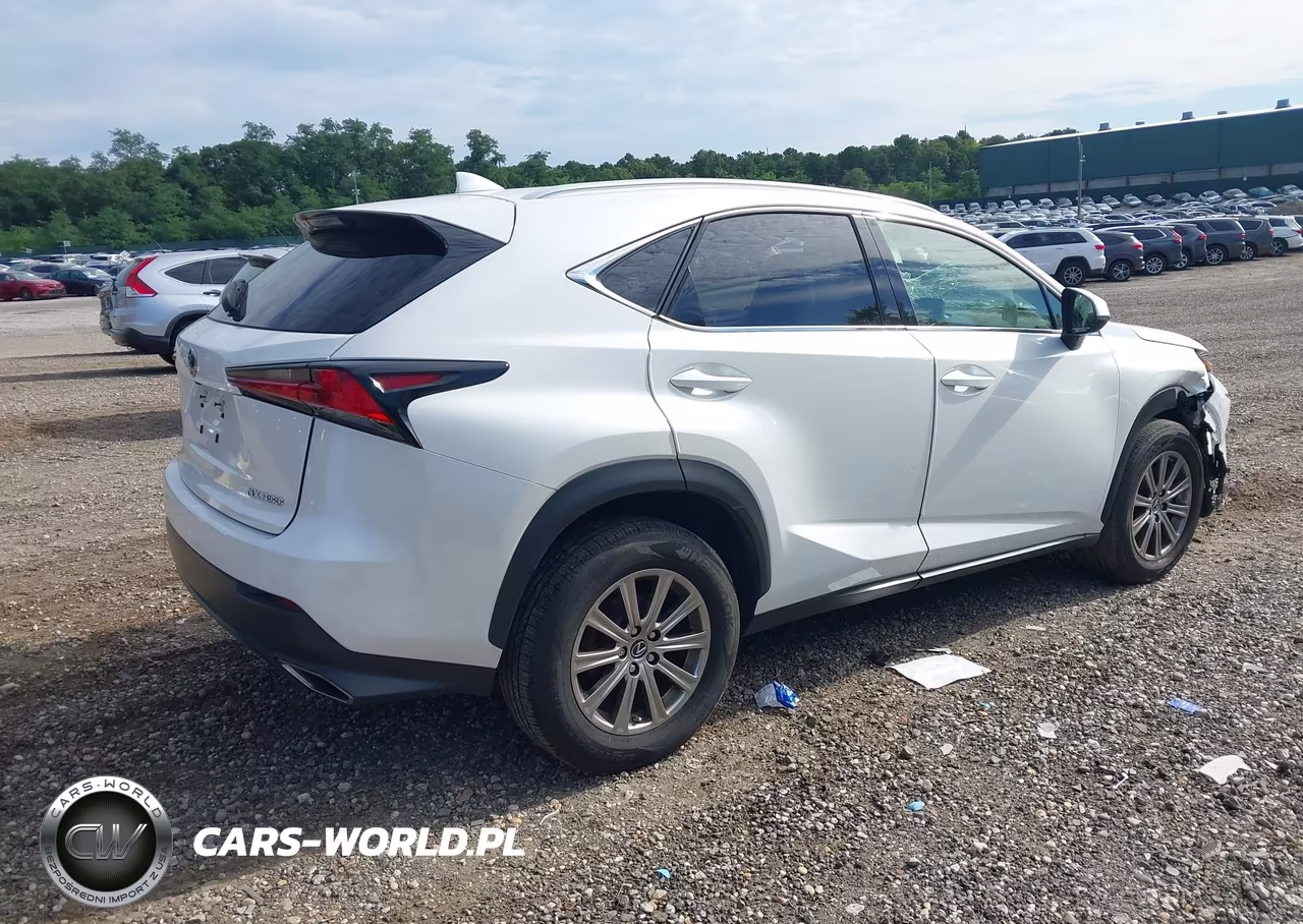 2020 Lexus Nx 300 VIN:JTJDARDZ8L5004183 - 4