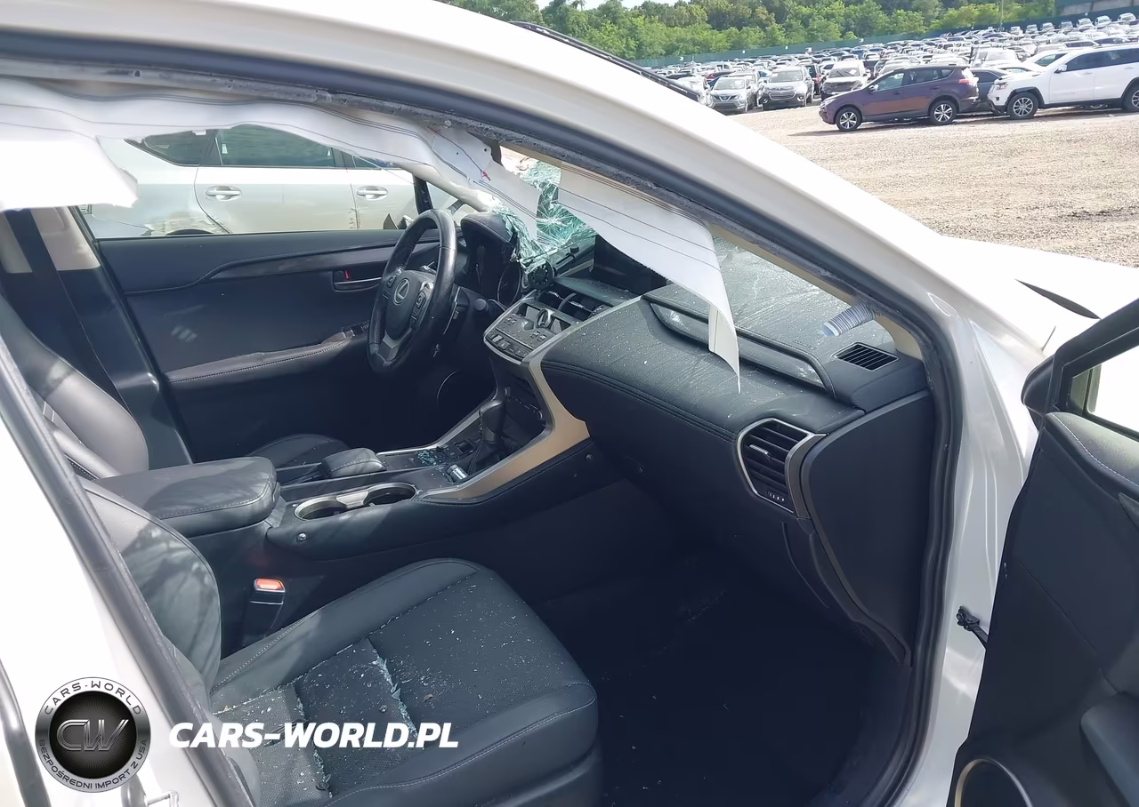 2020 Lexus Nx 300 VIN:JTJDARDZ8L5004183 - 5