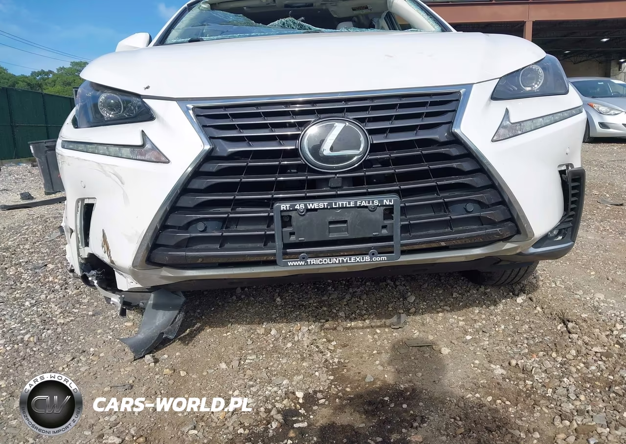 2020 Lexus Nx 300 VIN:JTJDARDZ8L5004183 - 6