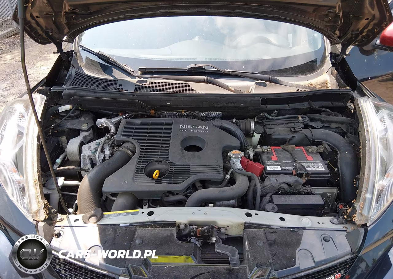 2013 Nissan Juke Nismo VIN:JN8AF5MV0DT220009 - 10
