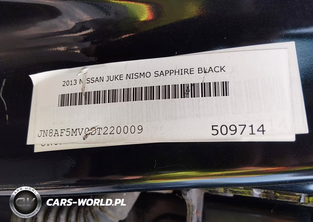 2013 Nissan Juke Nismo VIN:JN8AF5MV0DT220009 - 9