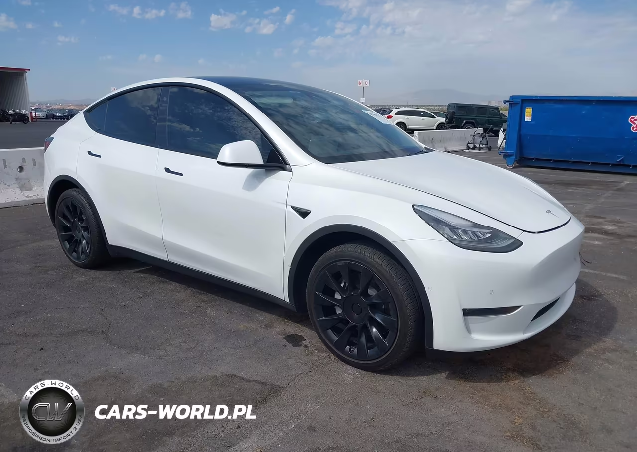 2020 Tesla Model Y Long Range Dual Motor All-Wheel Drive