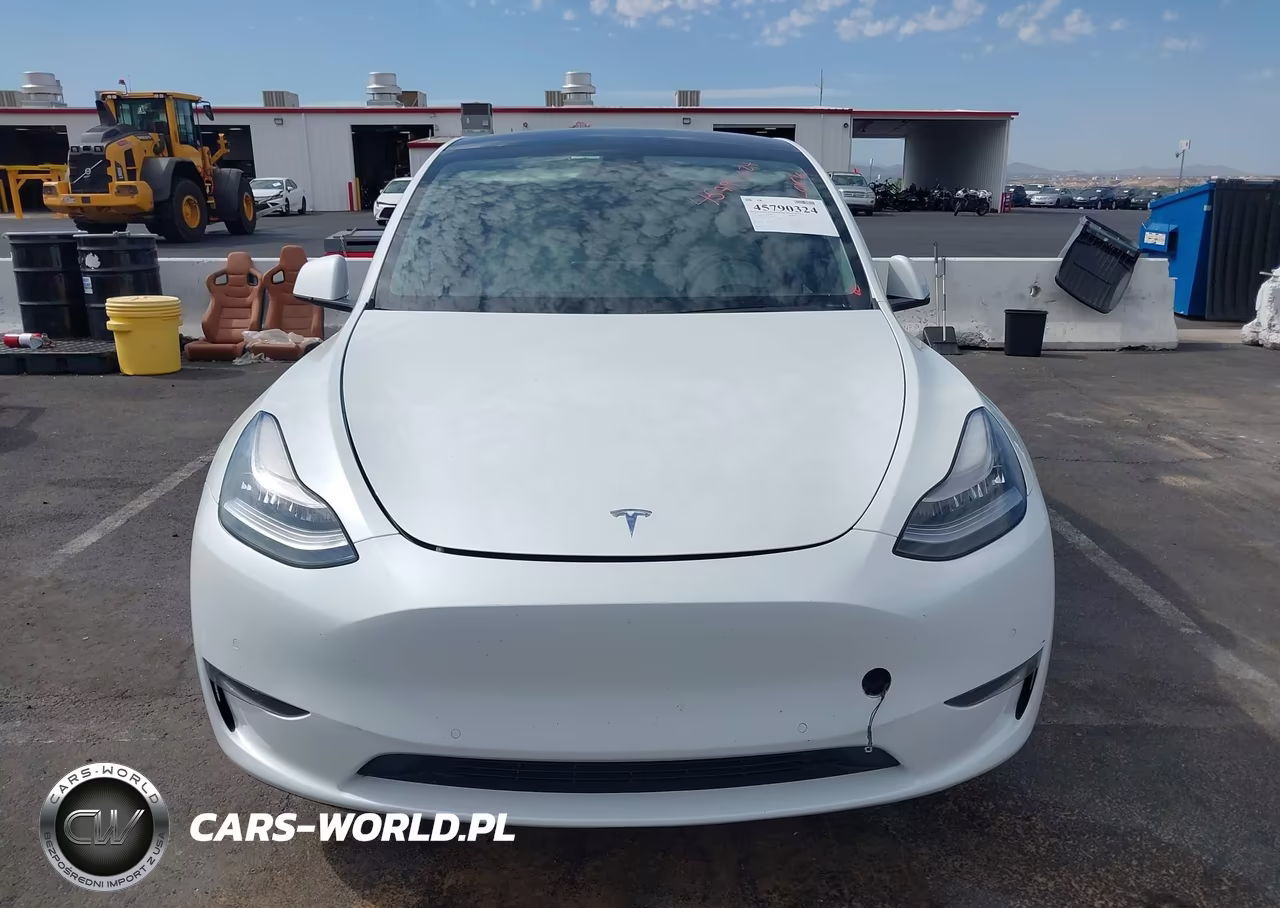 2020 Tesla Model Y Long Range Dual Motor All-Wheel Drive VIN:5YJYGDEE3LF055798 - 11