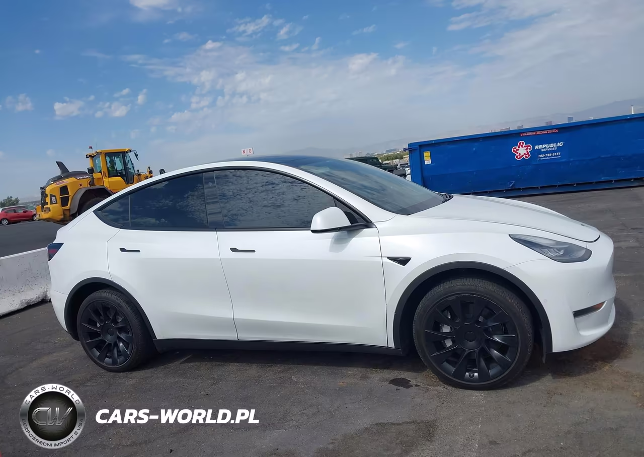 2020 Tesla Model Y Long Range Dual Motor All-Wheel Drive VIN:5YJYGDEE3LF055798 - 12