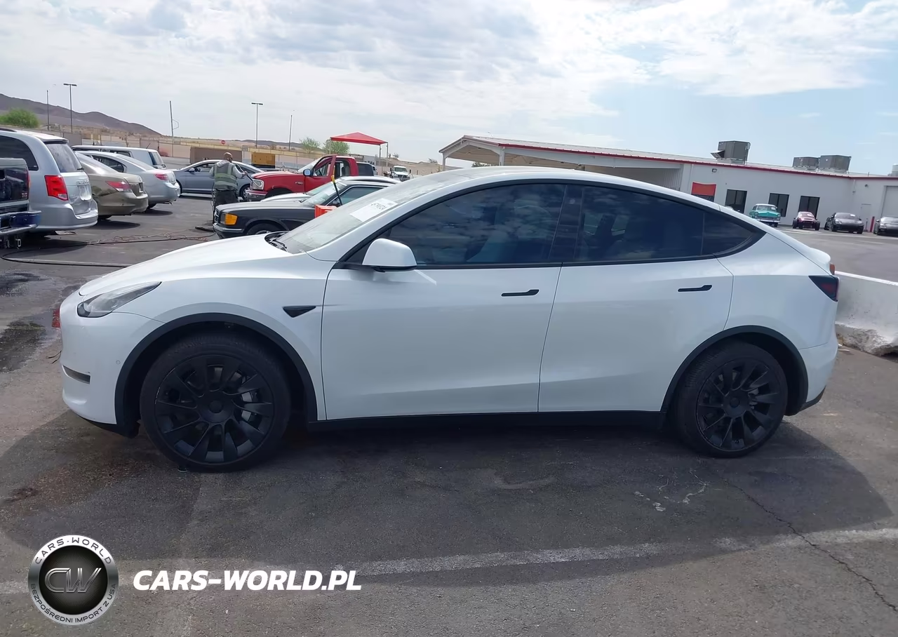 2020 Tesla Model Y Long Range Dual Motor All-Wheel Drive VIN:5YJYGDEE3LF055798 - 13