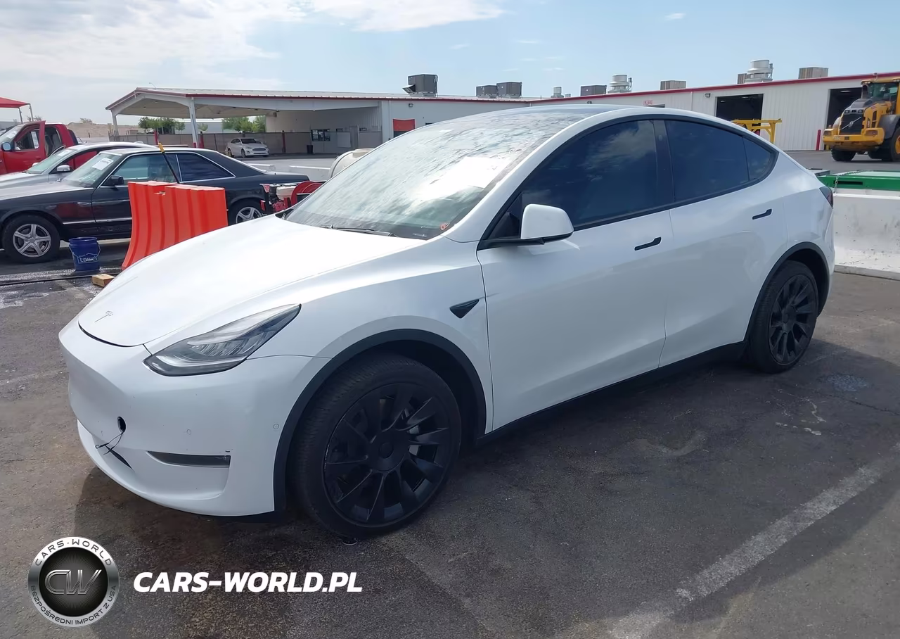 2020 Tesla Model Y Long Range Dual Motor All-Wheel Drive VIN:5YJYGDEE3LF055798 - 2