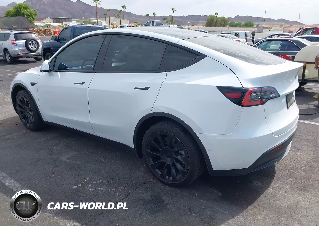 2020 Tesla Model Y Long Range Dual Motor All-Wheel Drive VIN:5YJYGDEE3LF055798 - 3