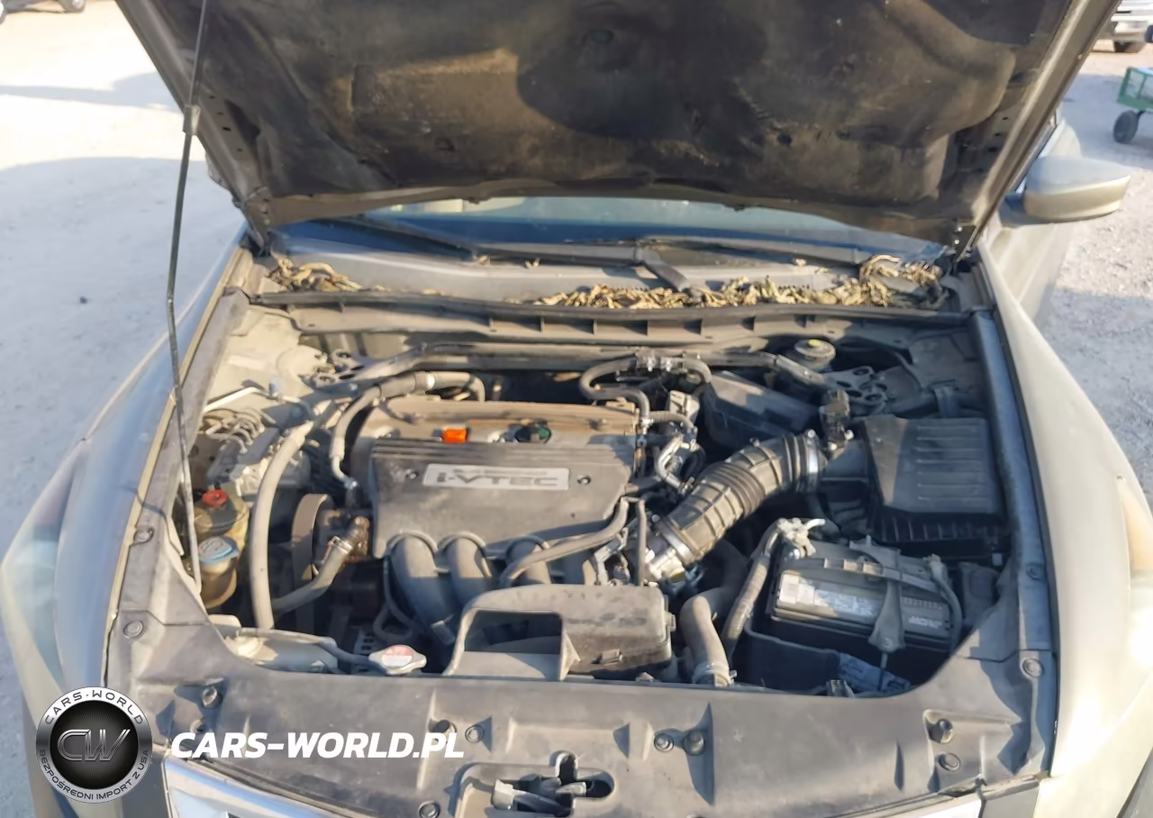 2009 Honda Accord 2.4 Ex VIN:1HGCP267X9A199575 - 10