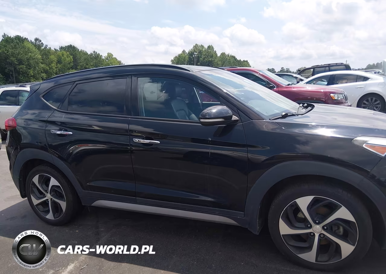 2017 Hyundai Tucson Limited VIN:KM8J33A28HU284751 - 13