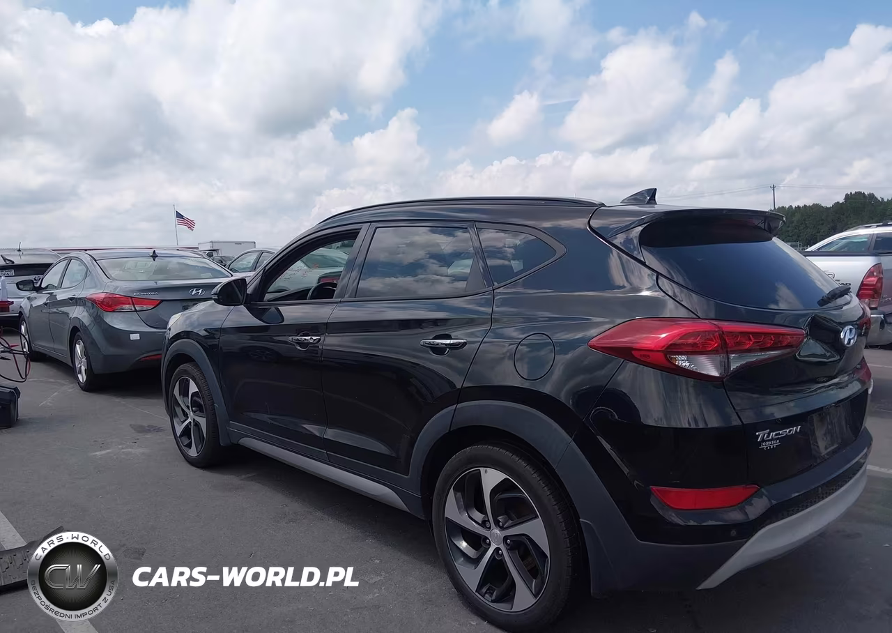 2017 Hyundai Tucson Limited VIN:KM8J33A28HU284751 - 3