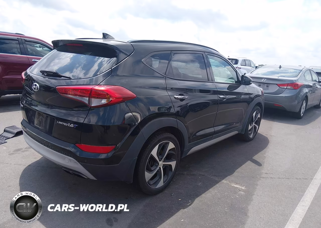 2017 Hyundai Tucson Limited VIN:KM8J33A28HU284751 - 4