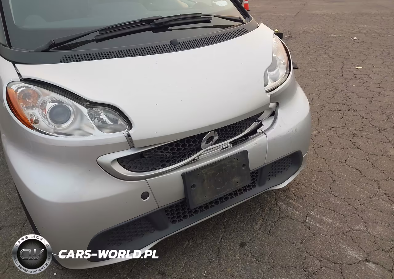 2014 Smart Fortwo Passion VIN:WMEEJ3BA6EK751238 - 12