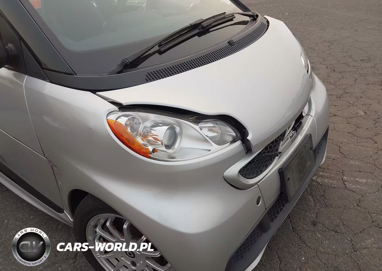 2014 Smart Fortwo Passion VIN:WMEEJ3BA6EK751238 - 13