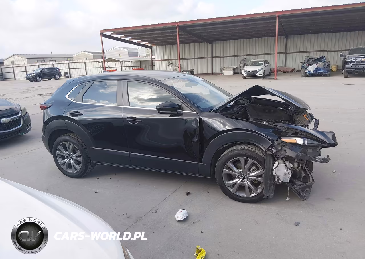 2020 Mazda Cx-30 Preferred Package VIN:3MVDMADLXLM133333 - 14