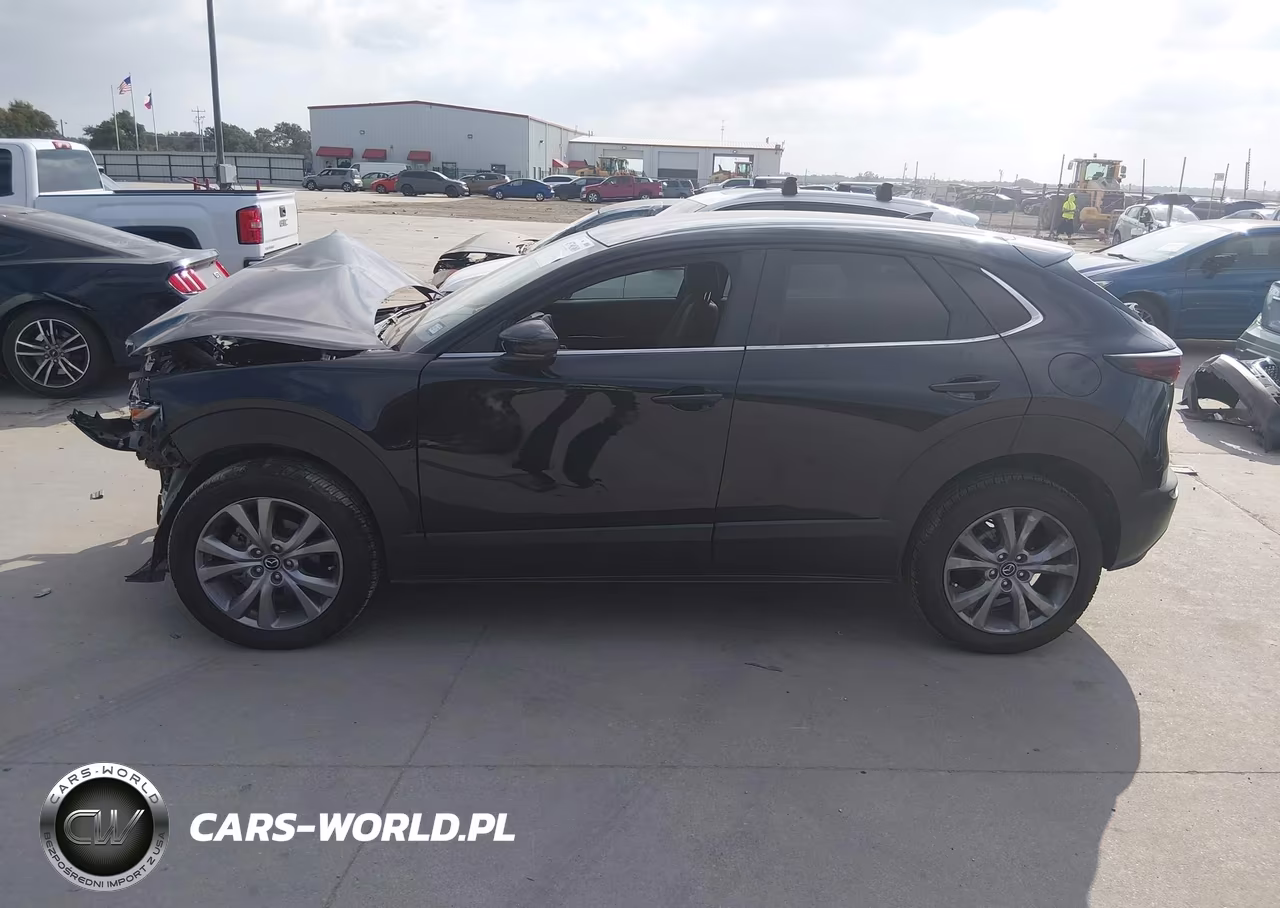 2020 Mazda Cx-30 Preferred Package VIN:3MVDMADLXLM133333 - 15