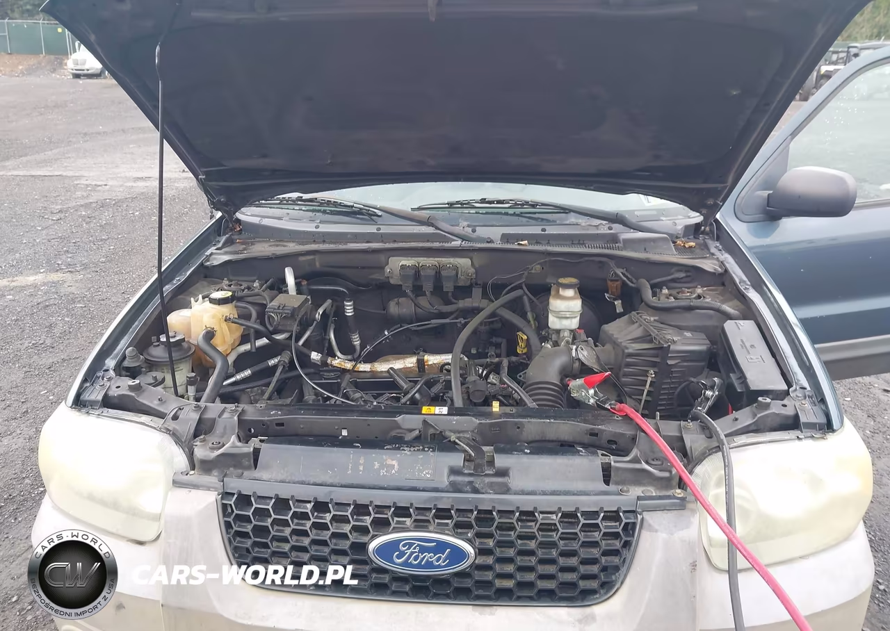 2005 Ford Escape Xlt VIN:1FMYU03Z55KD39958 - 10