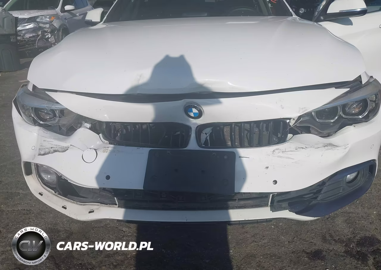 2018 BMW 430I Gran Coupe VIN:WBA4J1C56JBG80813 - 6