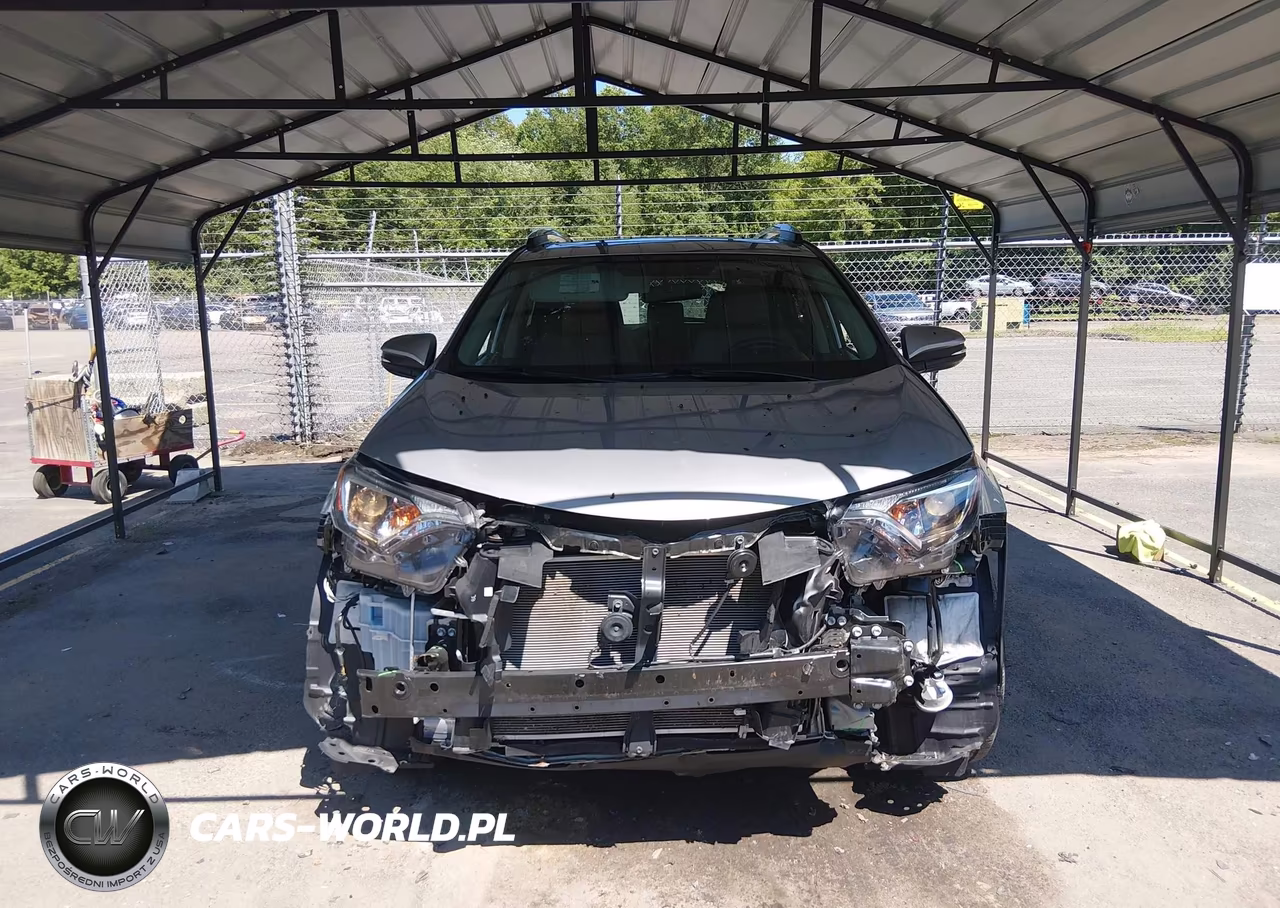 2016 Toyota Rav4 Xle VIN:2T3RFREV9GW526003 - 12