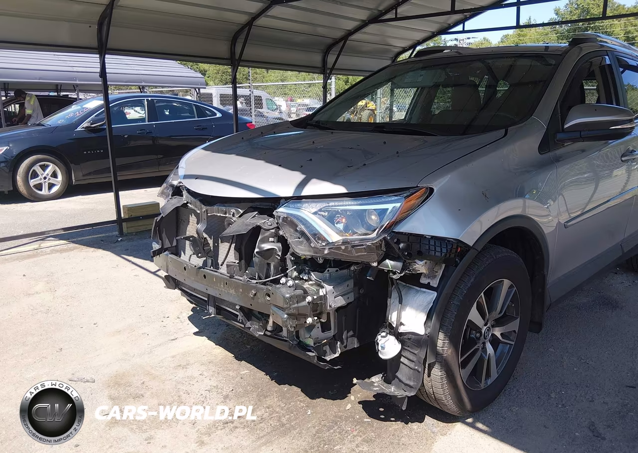 2016 Toyota Rav4 Xle VIN:2T3RFREV9GW526003 - 6