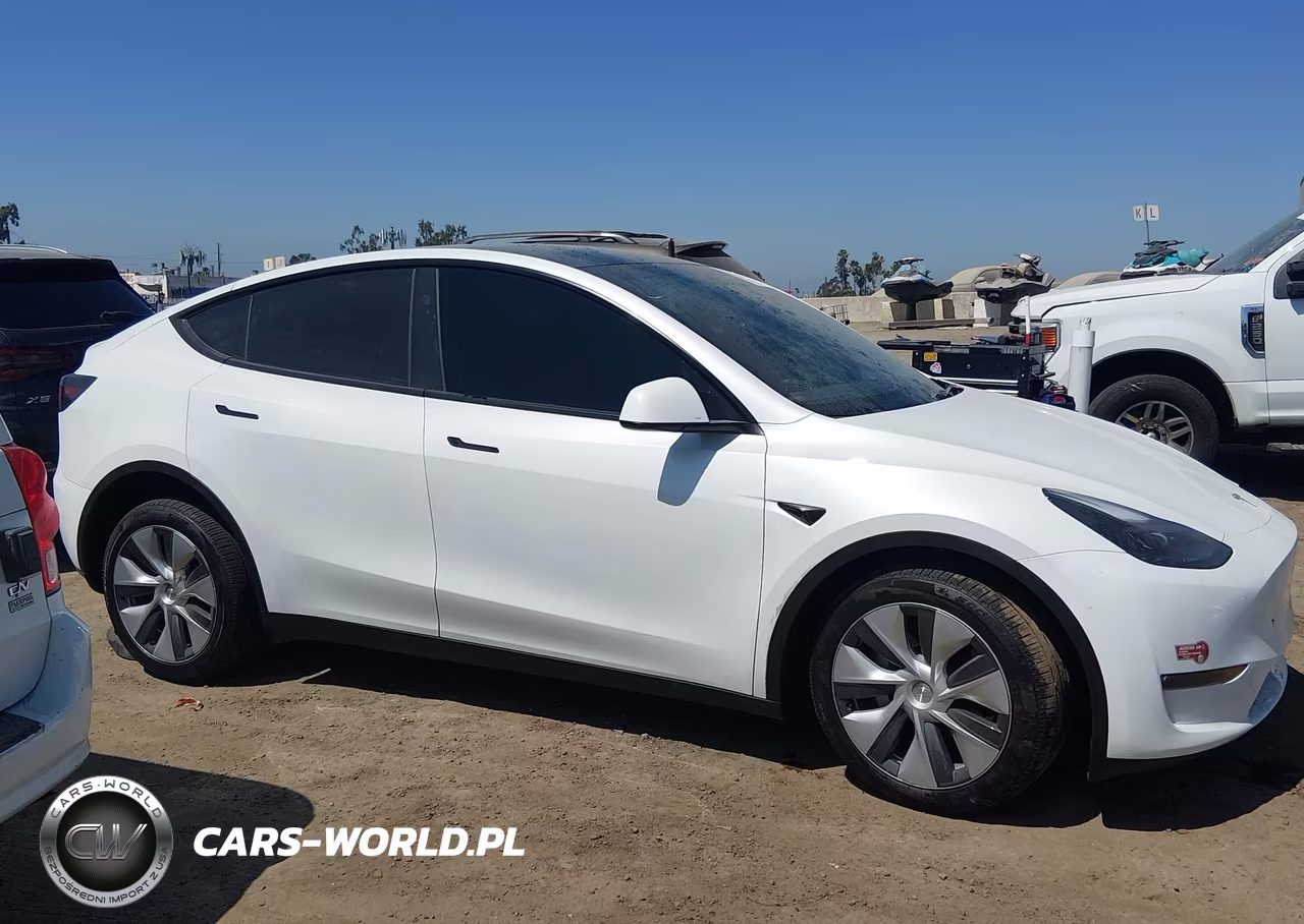 2024 Tesla Model Y Long Range Dual Motor All-Wheel Drive VIN:7SAYGDEE4RA231301 - 13