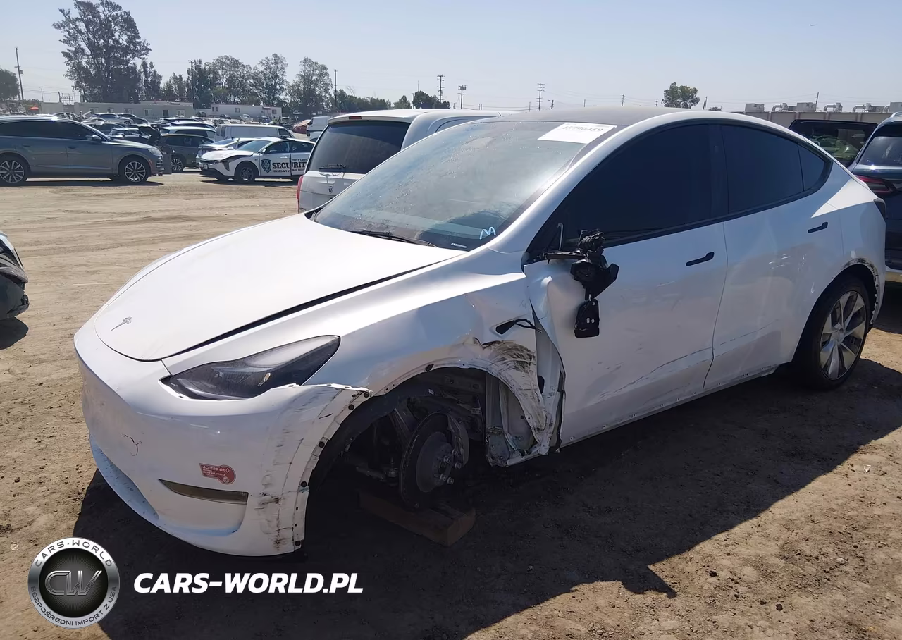 2024 Tesla Model Y Long Range Dual Motor All-Wheel Drive VIN:7SAYGDEE4RA231301 - 2