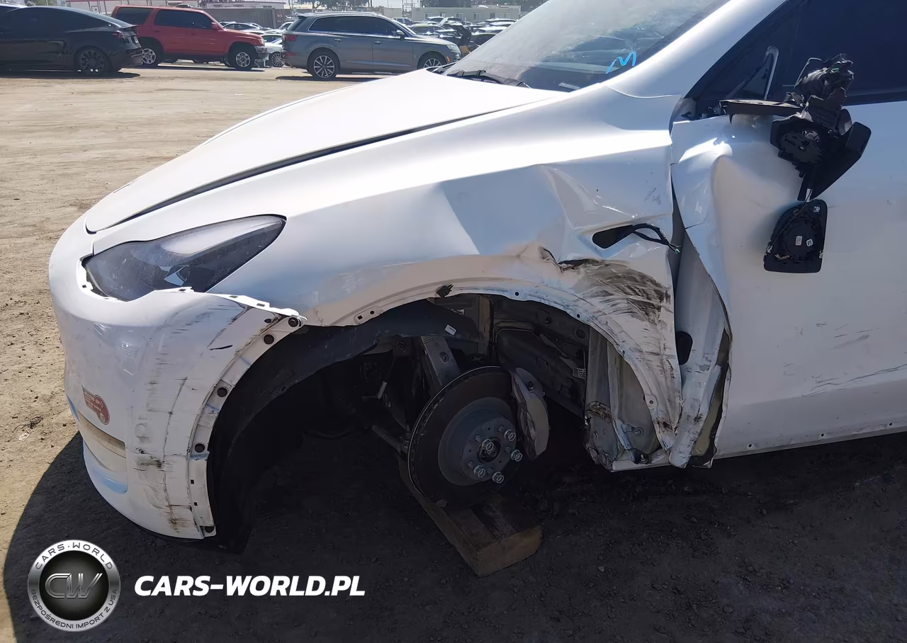2024 Tesla Model Y Long Range Dual Motor All-Wheel Drive VIN:7SAYGDEE4RA231301 - 6