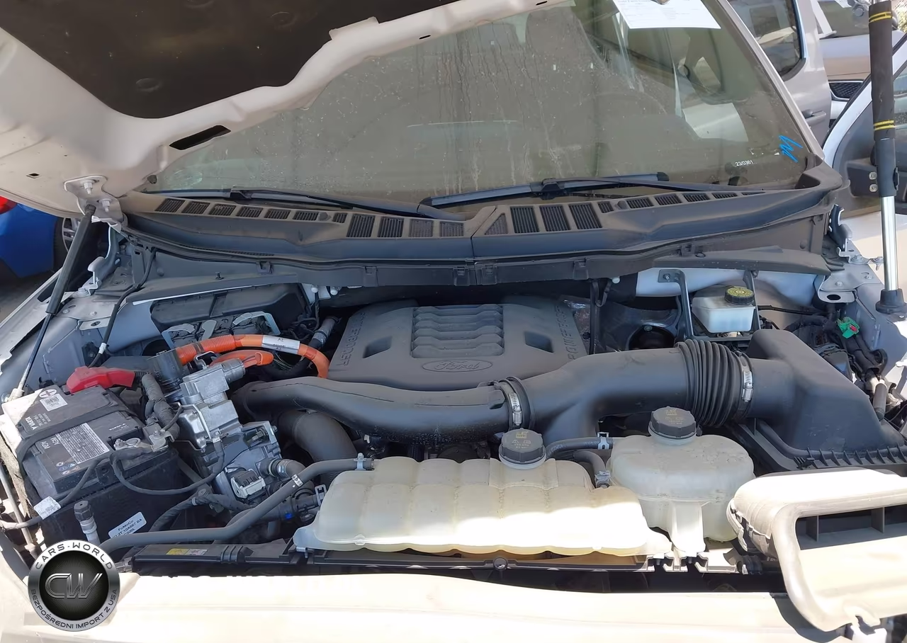 2023 Ford F-150 Xlt VIN:1FTFW1ED2PFA14905 - 10