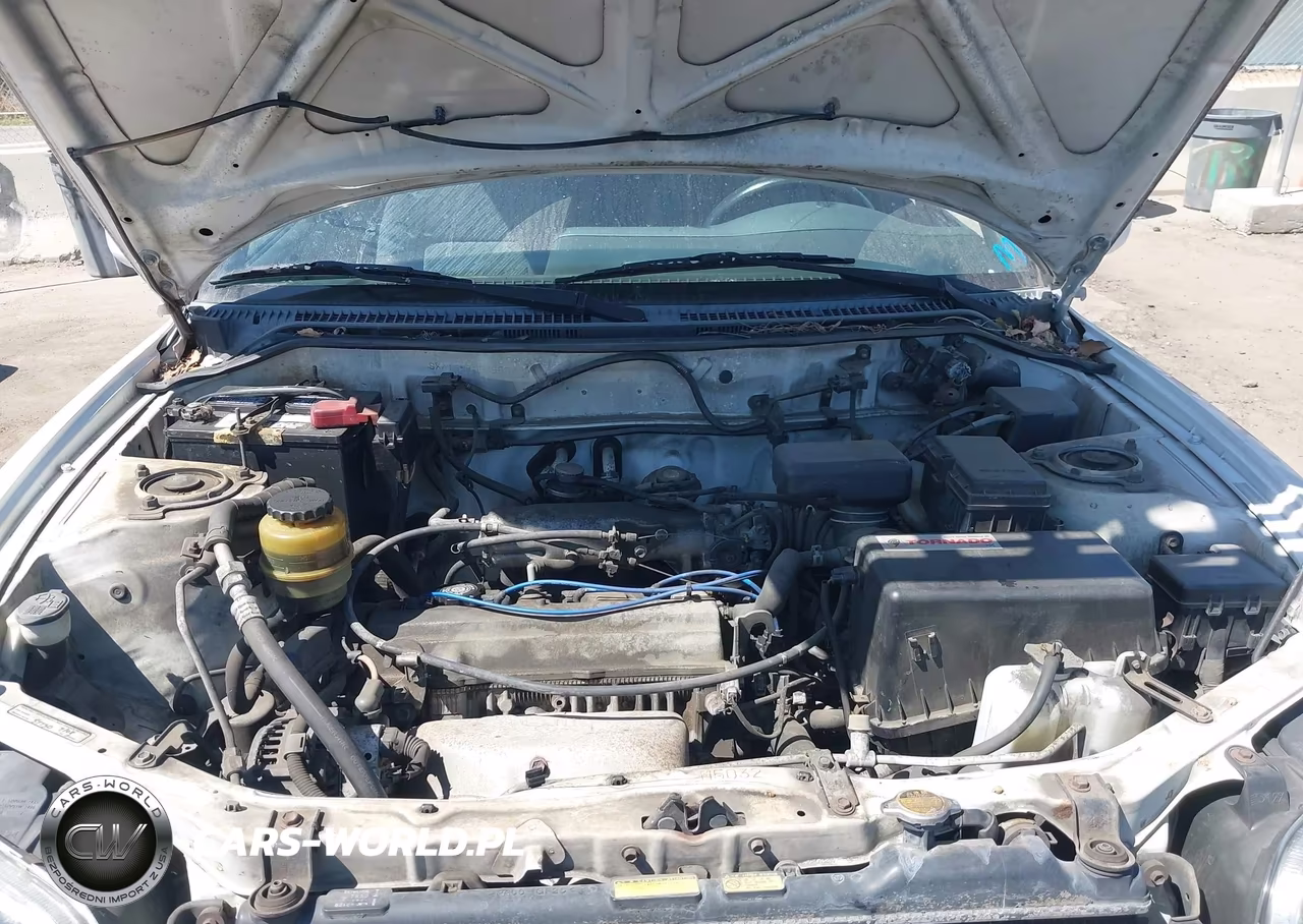 1999 Toyota Rav4 VIN:JT3GP10V5X7053553 - 10