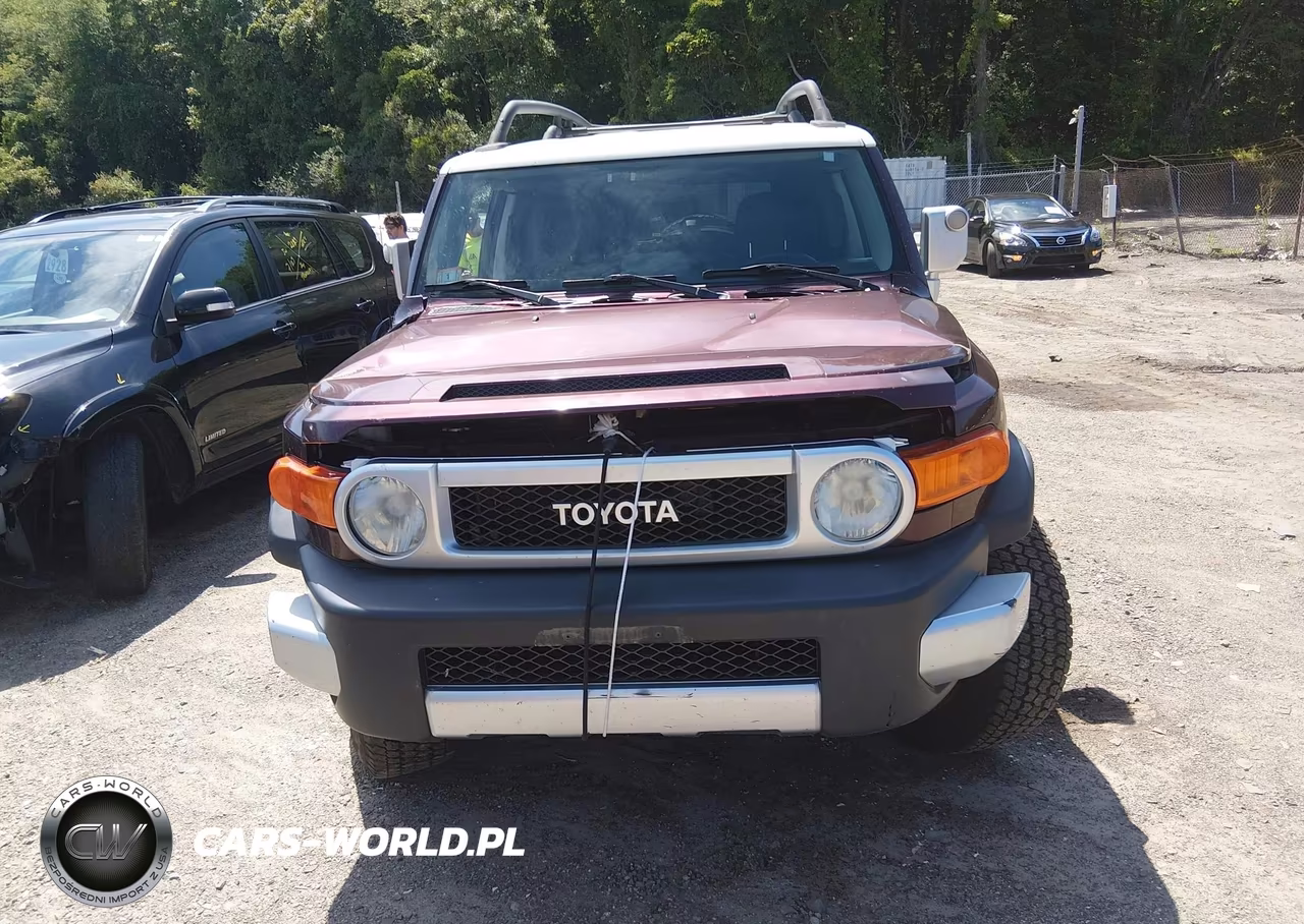 2007 Toyota Fj Cruiser VIN:JTEBU11FX70086820 - 12