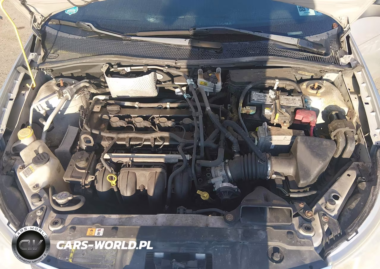 2009 Ford Focus Se VIN:1FAHP35N39W217191 - 10