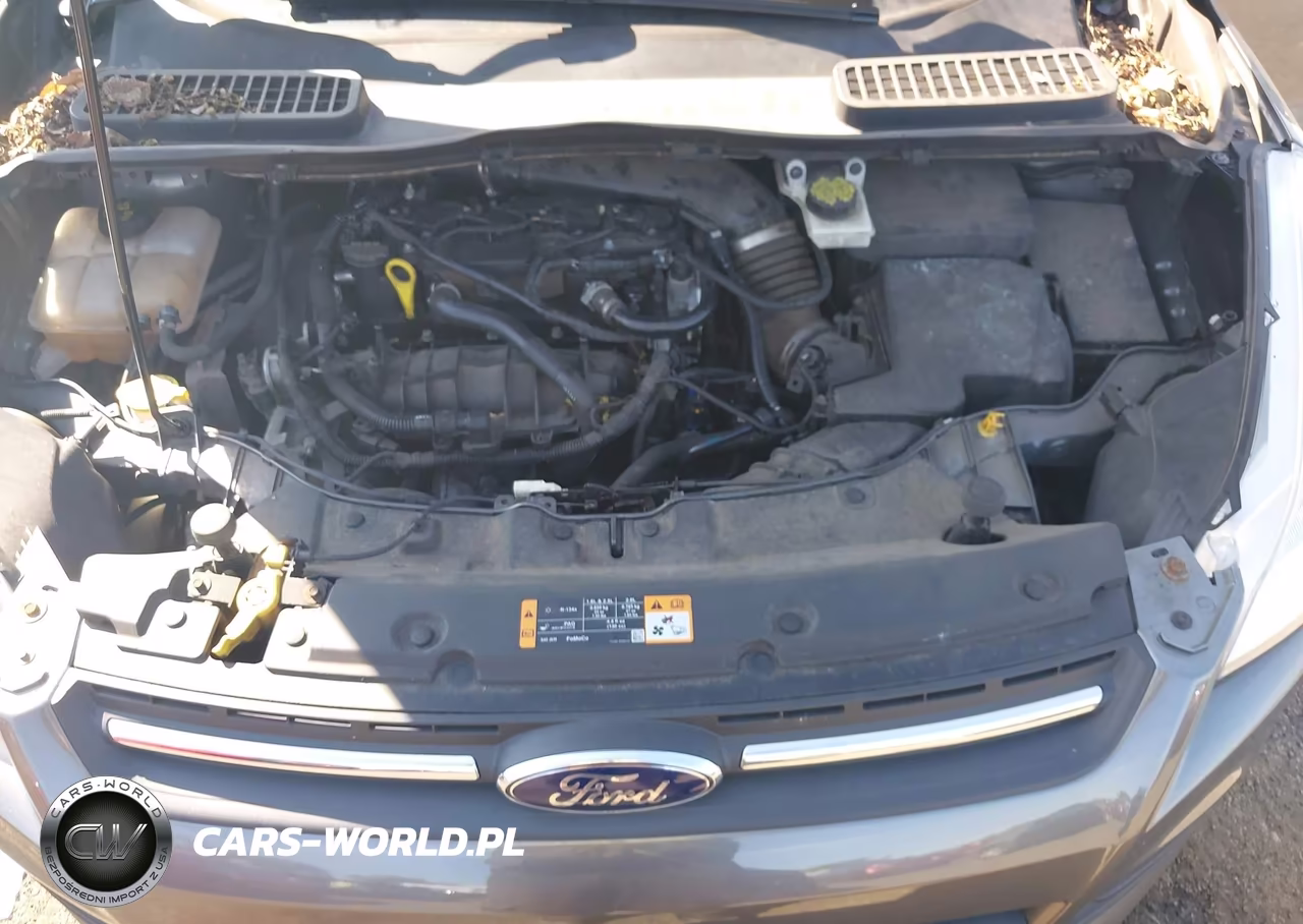 2014 Ford Escape Se VIN:1FMCU9GX3EUD69505 - 10