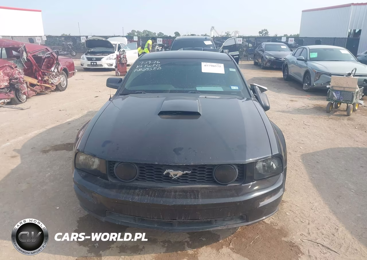 2009 Ford Mustang Gt-Gt Premium VIN:1ZVHT82H895116863 - 12