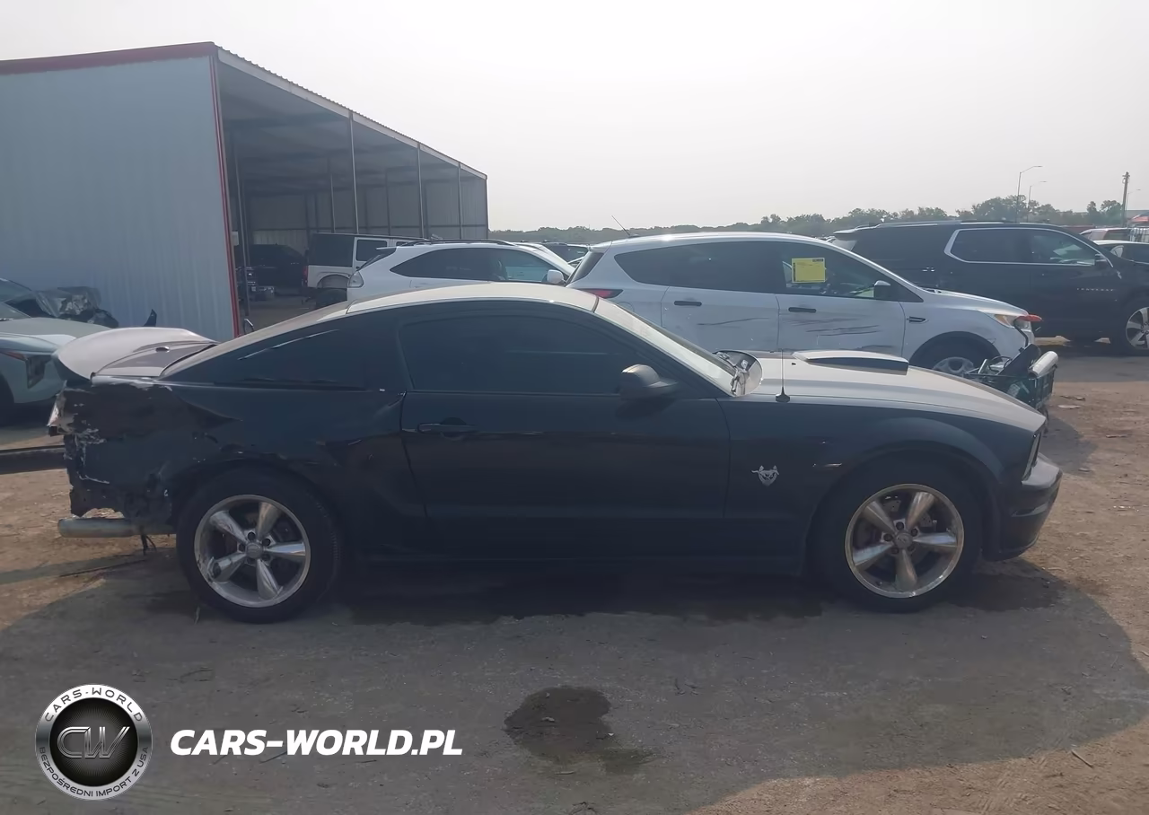 2009 Ford Mustang Gt-Gt Premium VIN:1ZVHT82H895116863 - 13