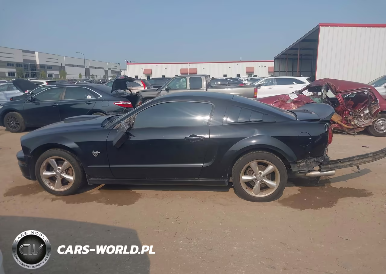 2009 Ford Mustang Gt-Gt Premium VIN:1ZVHT82H895116863 - 14