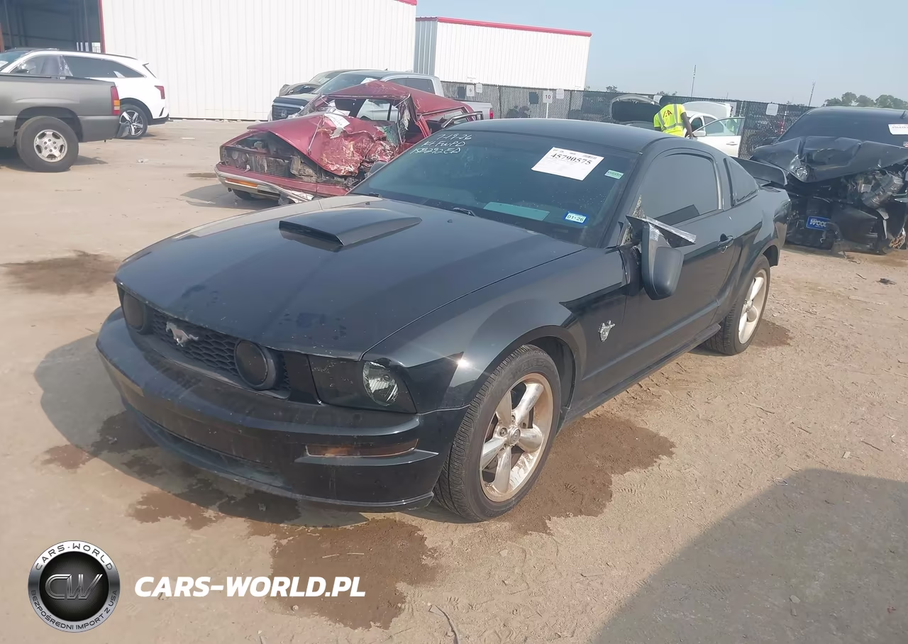 2009 Ford Mustang Gt-Gt Premium VIN:1ZVHT82H895116863 - 2