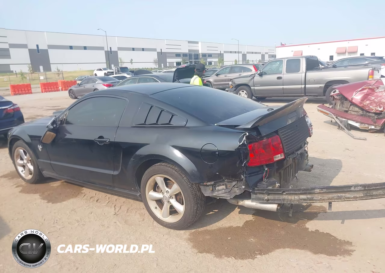 2009 Ford Mustang Gt-Gt Premium VIN:1ZVHT82H895116863 - 3