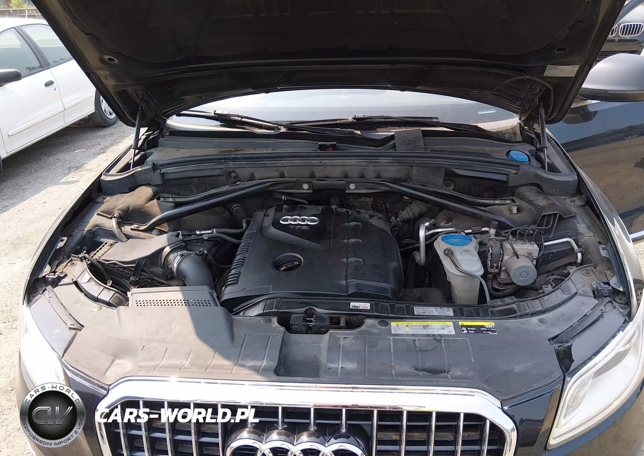 2013 Audi Q5 2.0T Premium VIN:WA1LFAFP7DA026983 - 10